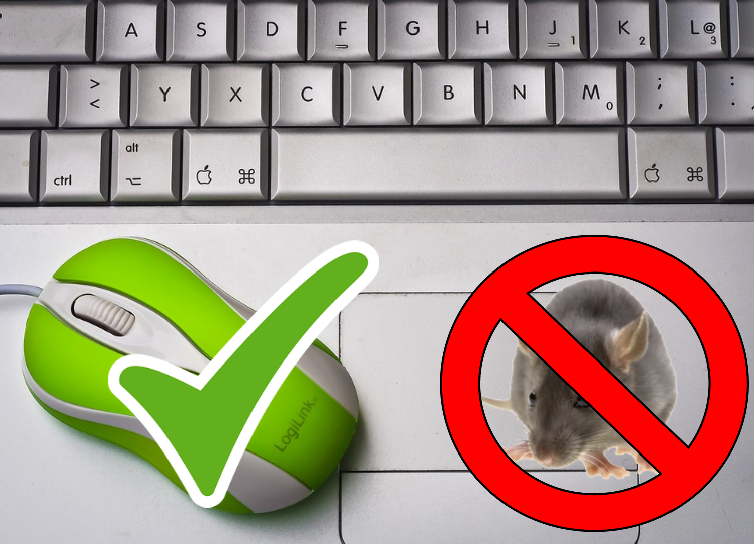 Meet the Mouse default image showing a keyboard with a computer mouse with a green checkmark next to the animal mouse with a red No symbol