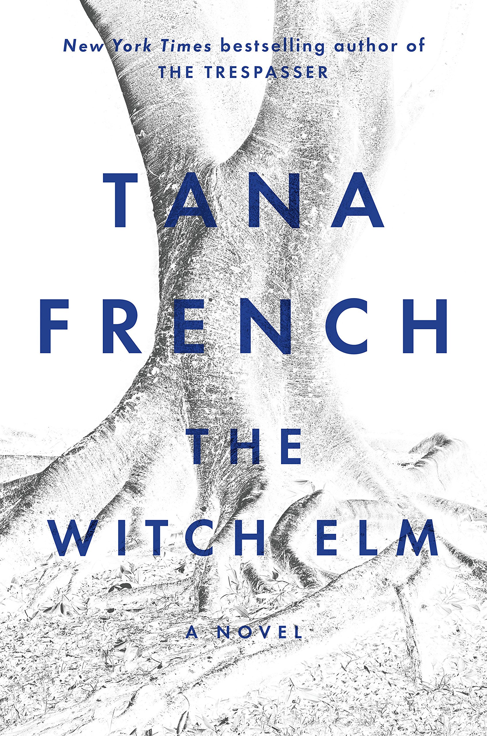 Book cover for The Witch Elm by Tana French.