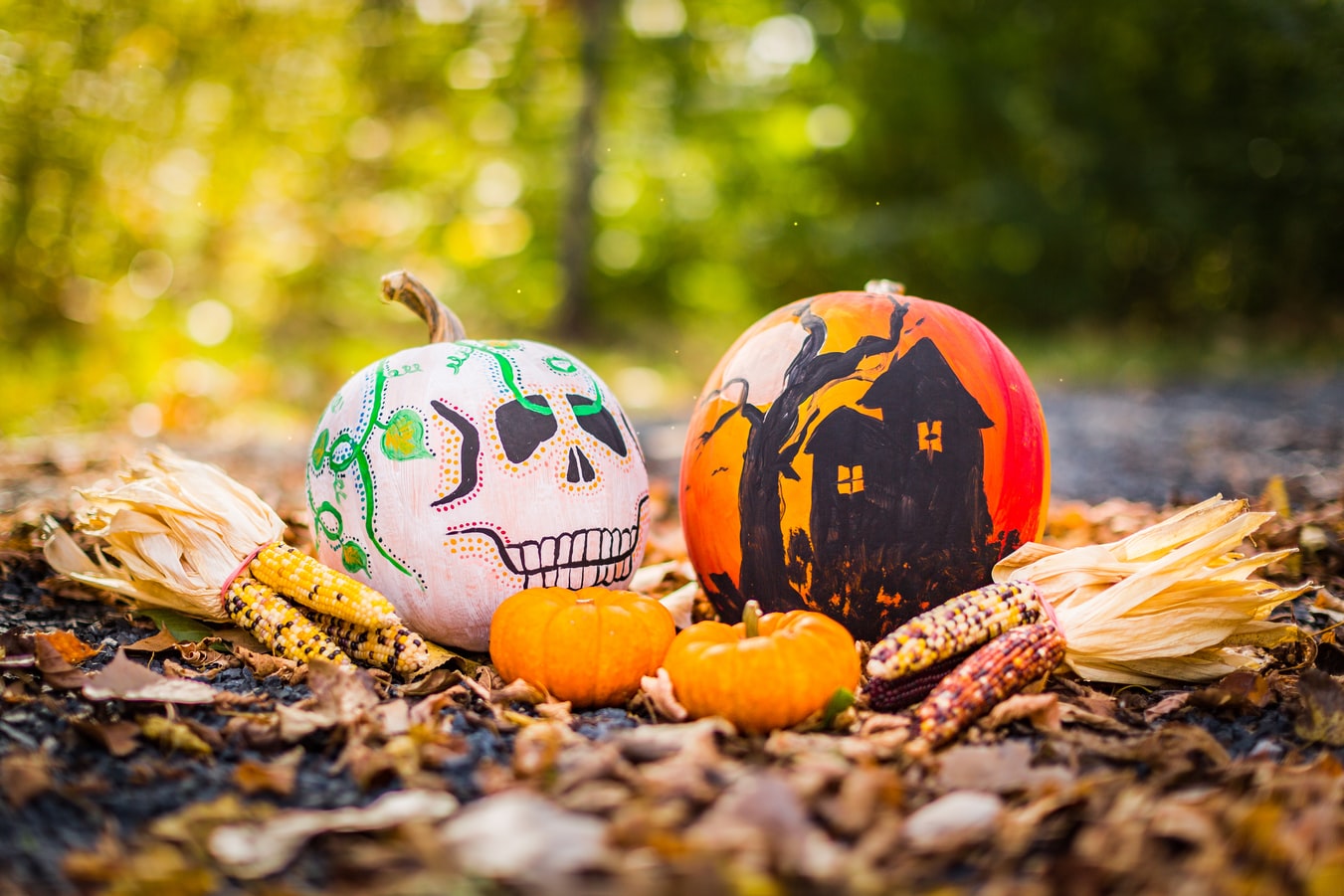Two painted pumpkins in a pile of leaves surrounded by smaller pumpkins and dried corn husks.