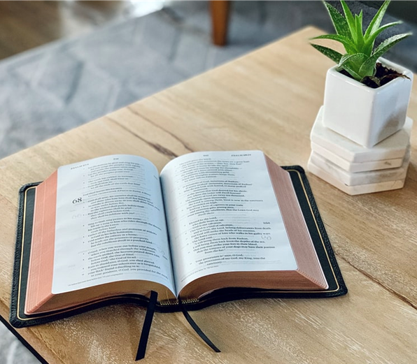 Photo of a bible open on a wood table next to a potted aloe plant.