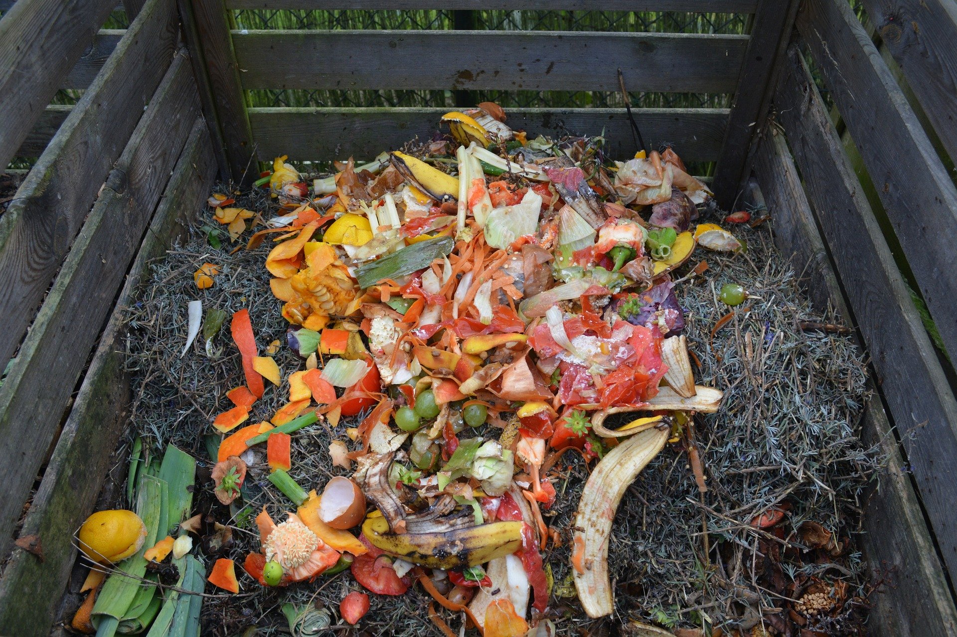 Compost heap.