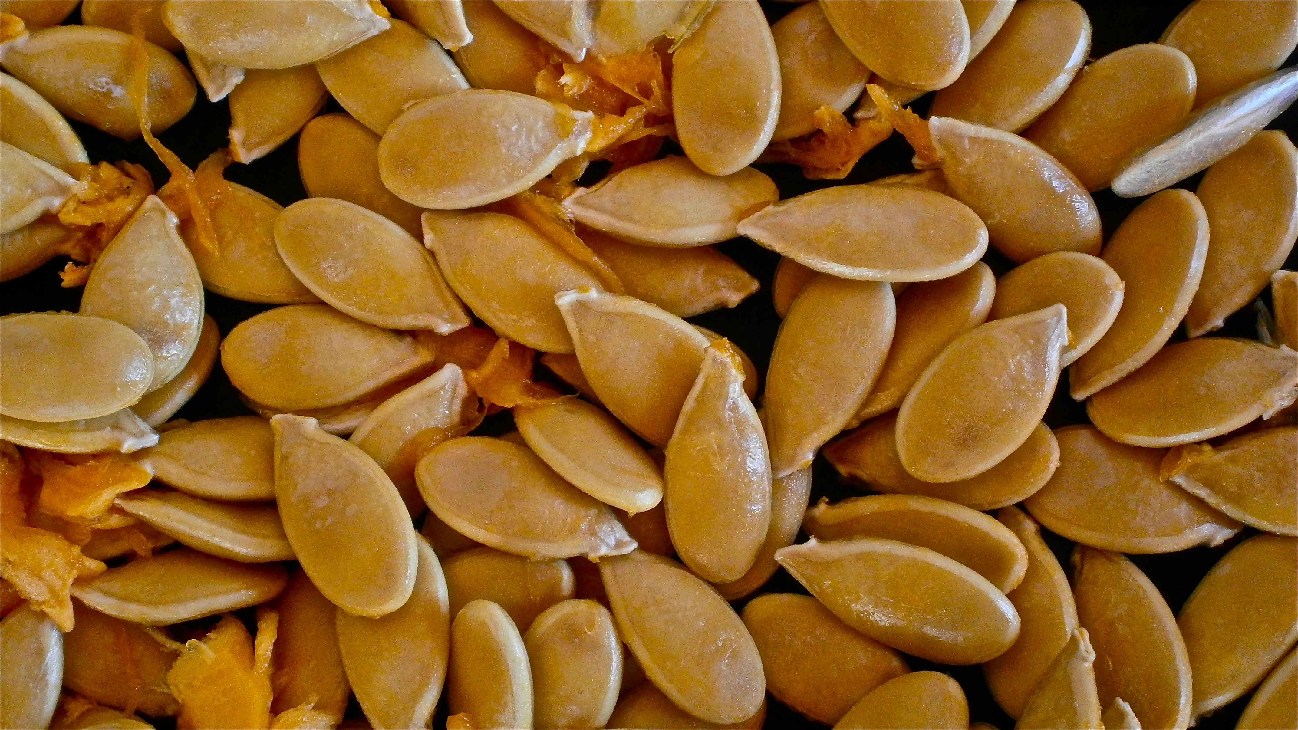 Pumpkin seeds.
