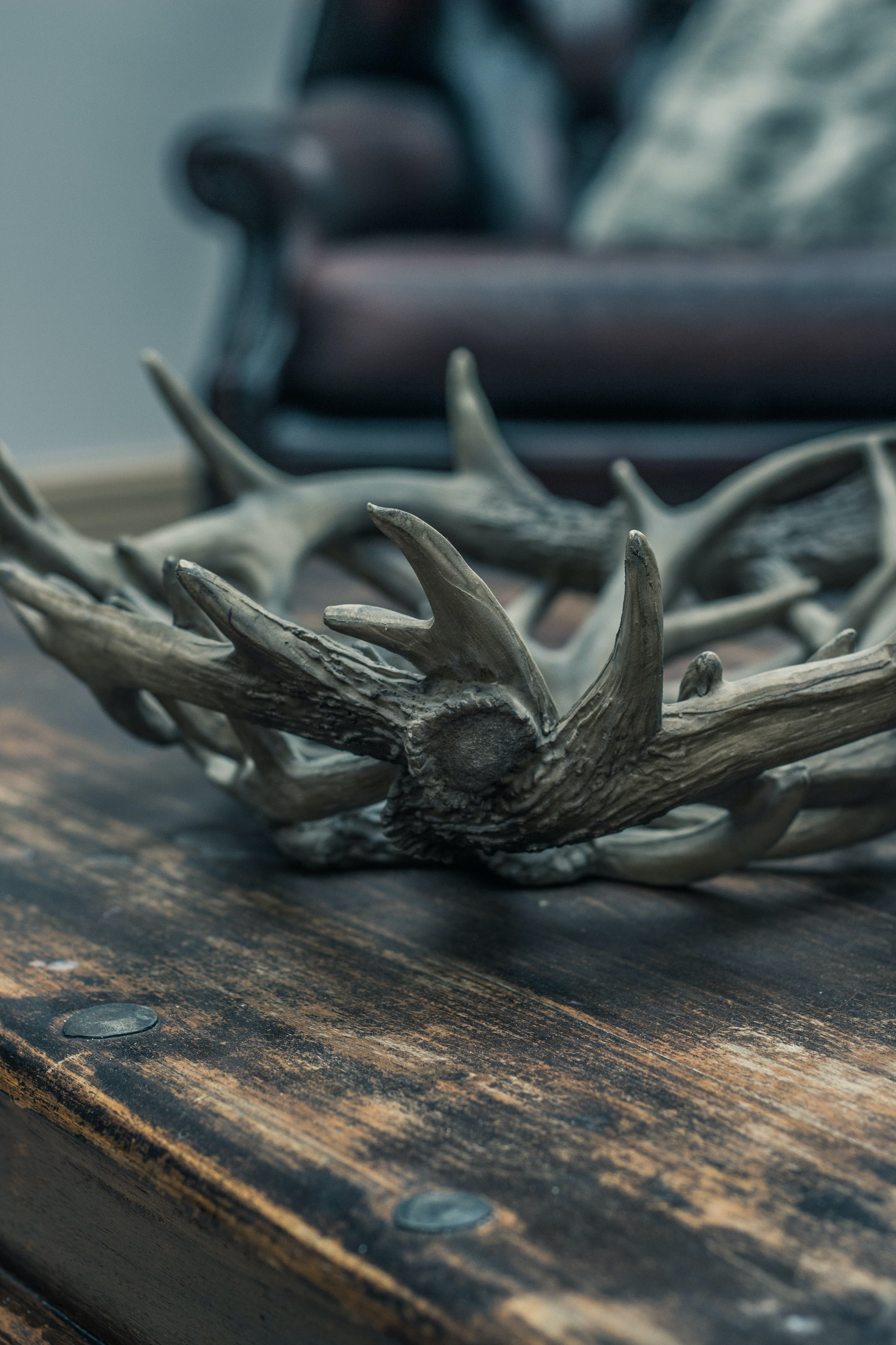 Brown Antlers on a wooden table.