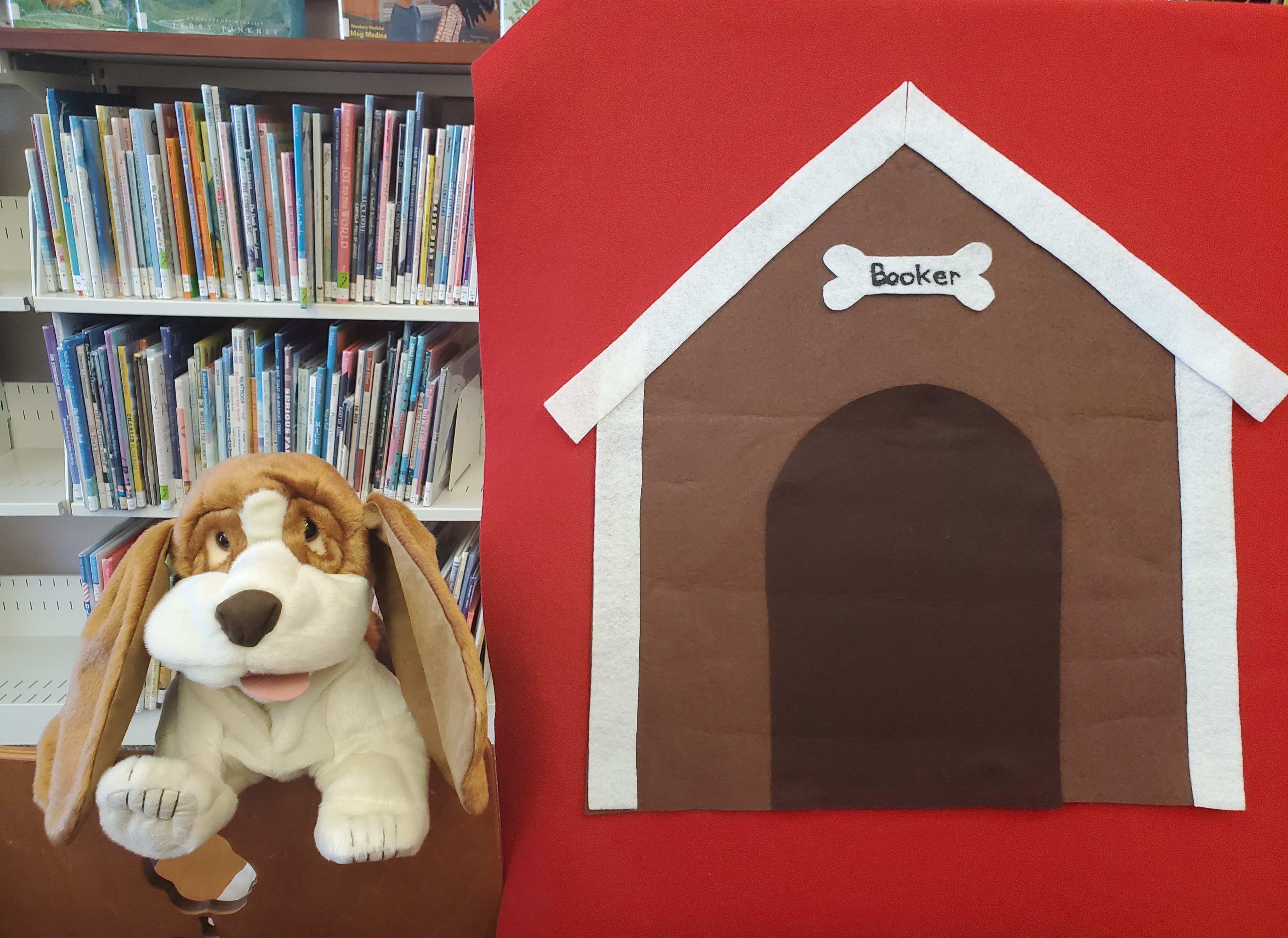 Booker the Library dog and his doghouse 
