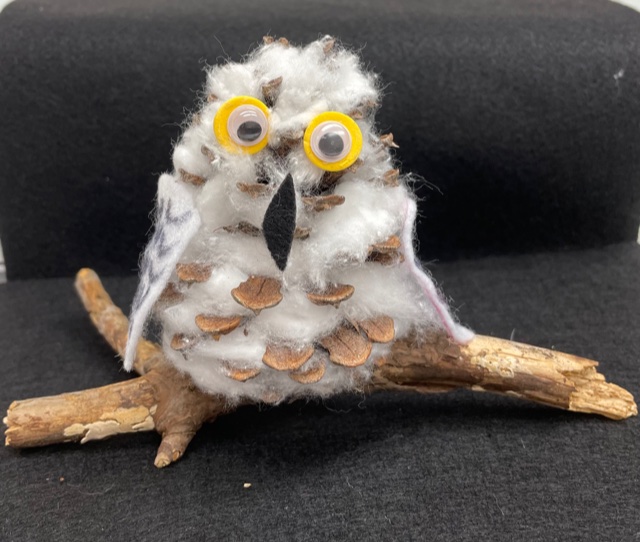 Snowy Owl on a branch