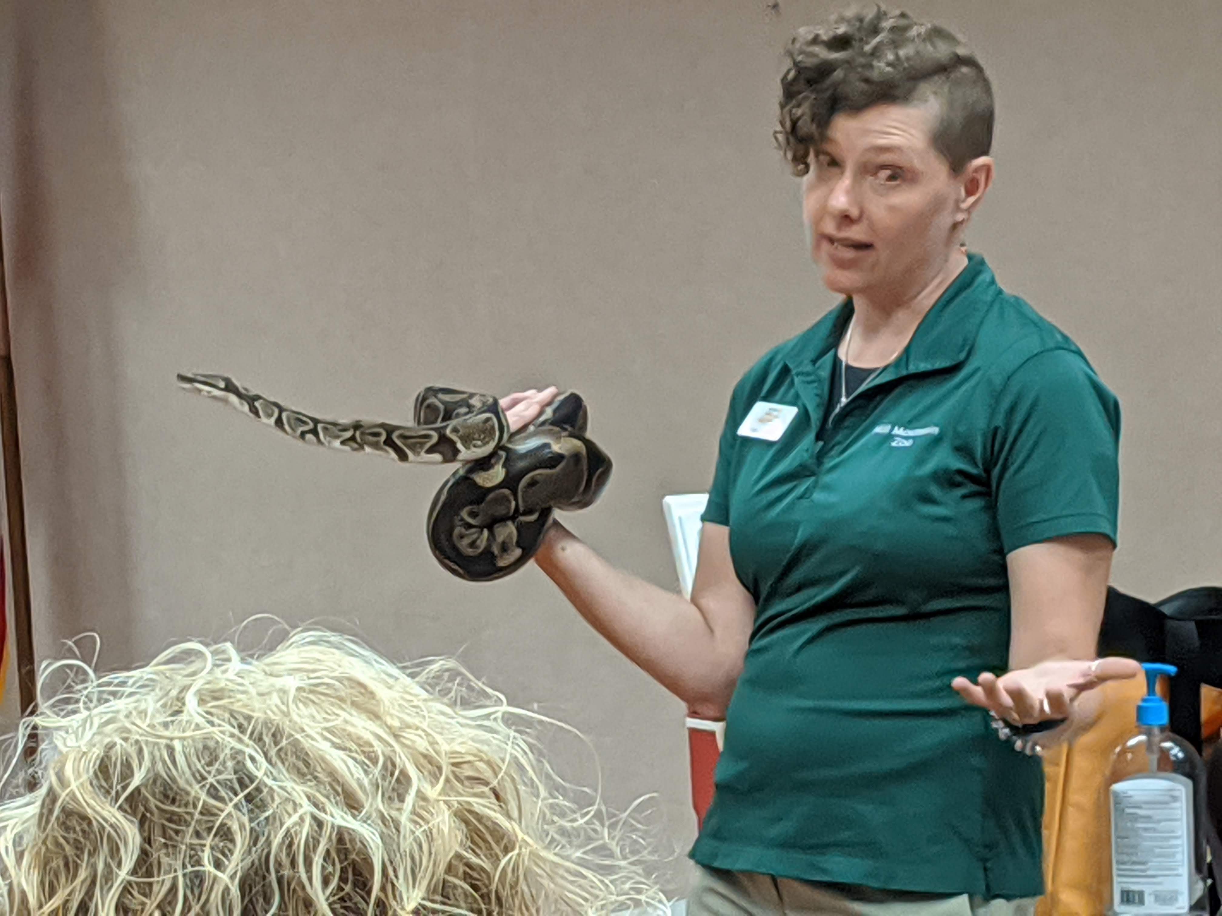 Volunteer from Mill Mountain Zoo holding a snake at the Bedford Library.