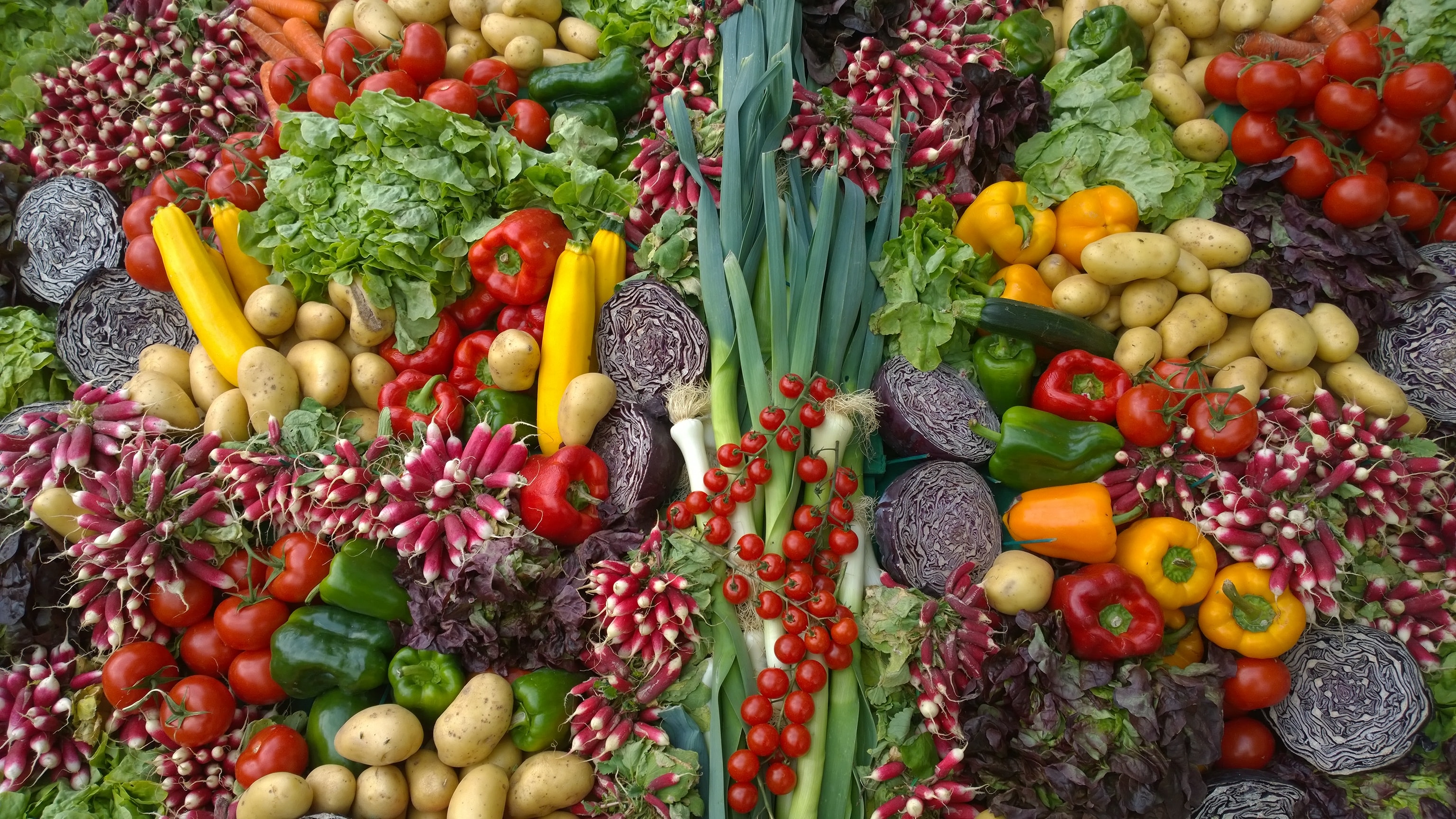 Large pile of a variety of fresh vegetables.