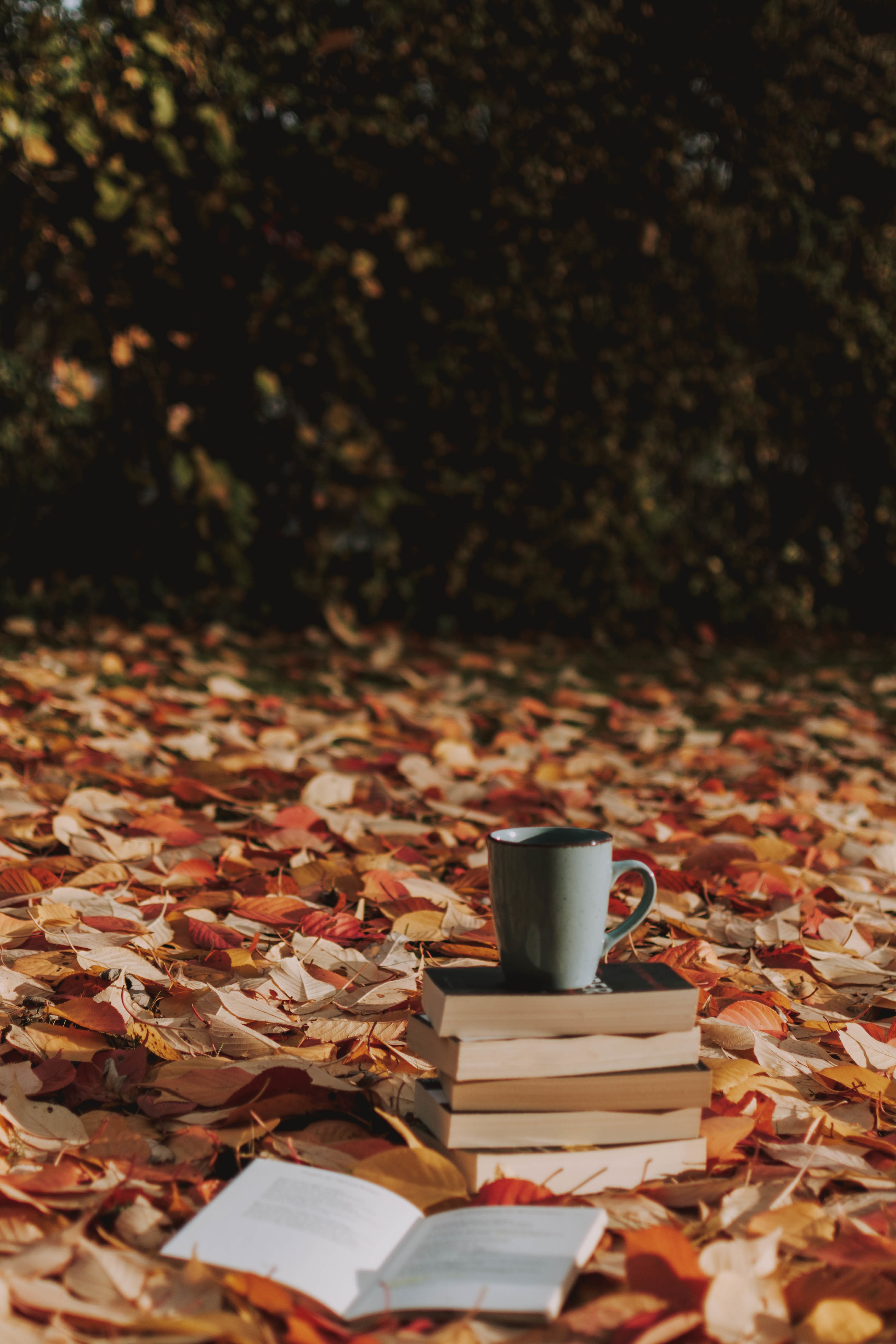 Photo of a pile of books sitting outside surrounded by leaves with a coffee cup on top of the pile.