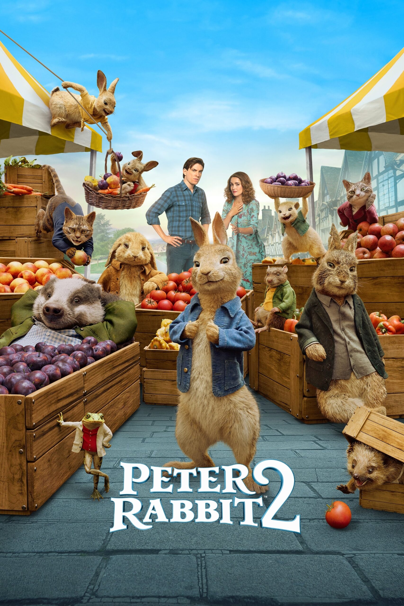 Peter Rabbit 2 DVD