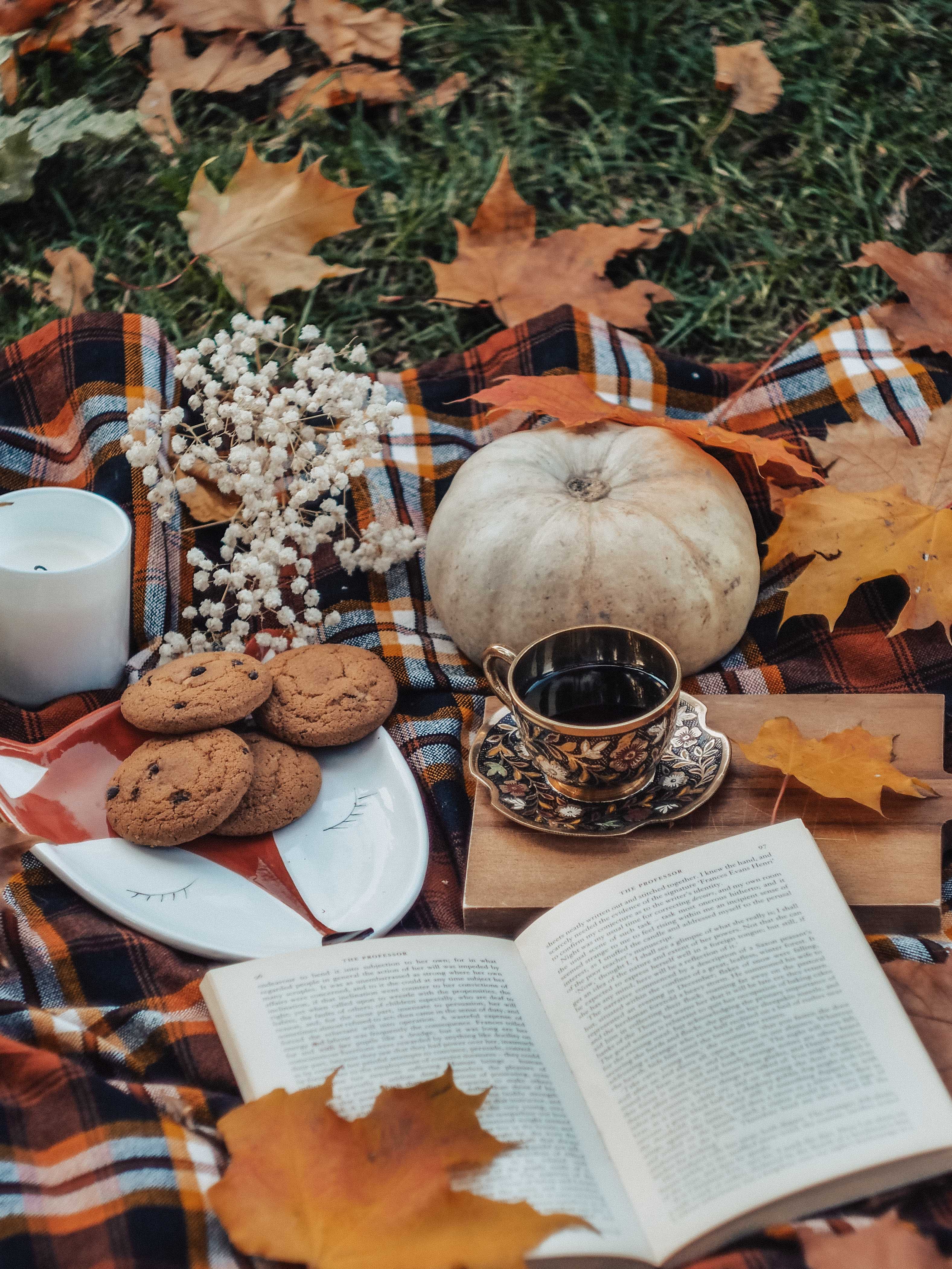 A book on a blanket outside surrounded by leaves, a pumpkin, a plate of cookies, a candle, babies breath, and a tea cup.