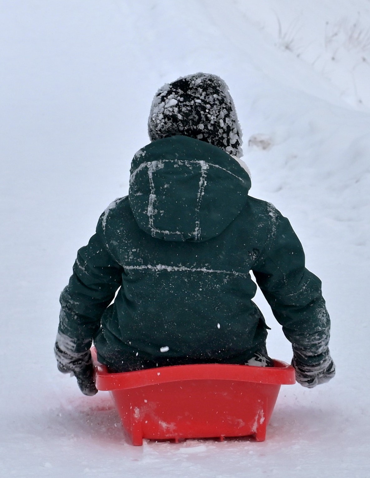 Back of child sitting on a sled in a snowy field.