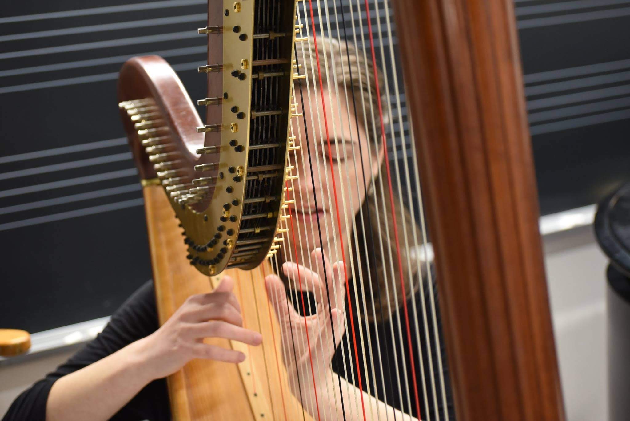 Kristin Szandzik, local harpist. 