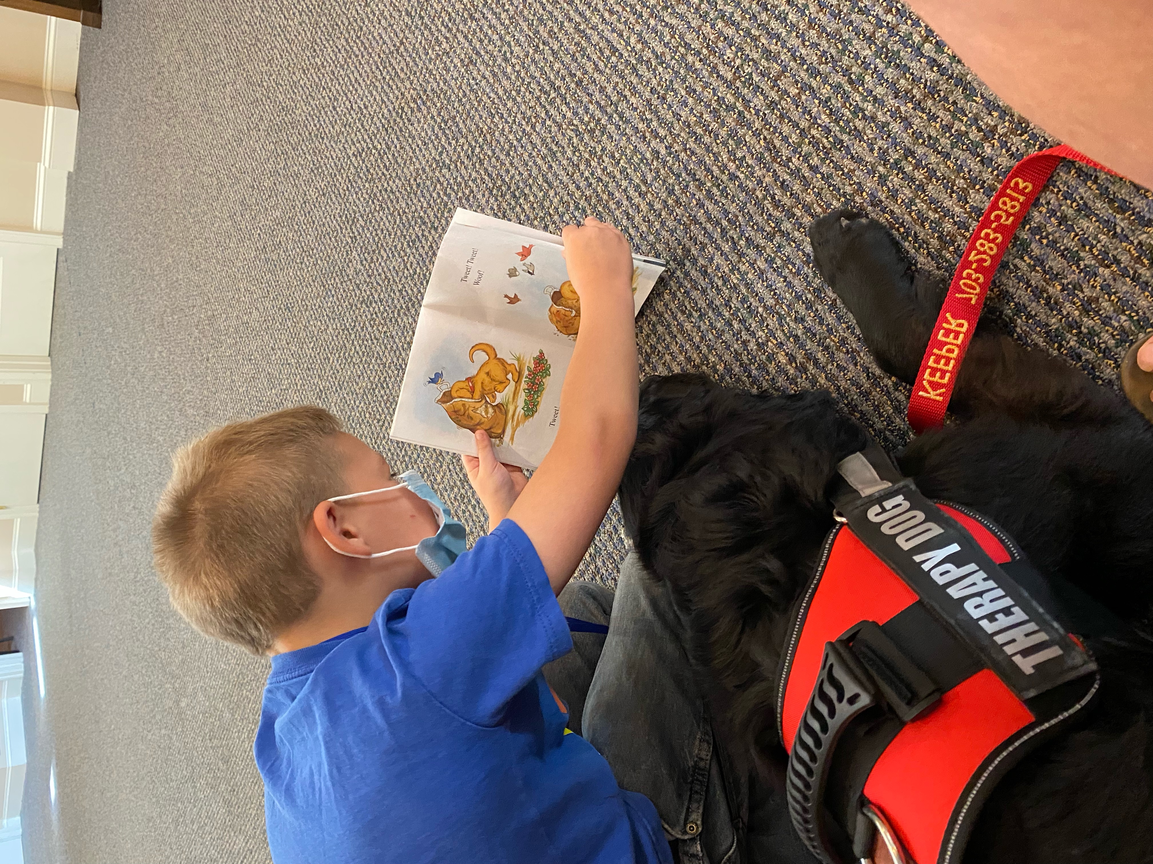 Photo of a young boy reading to Keeper the therapy lab.