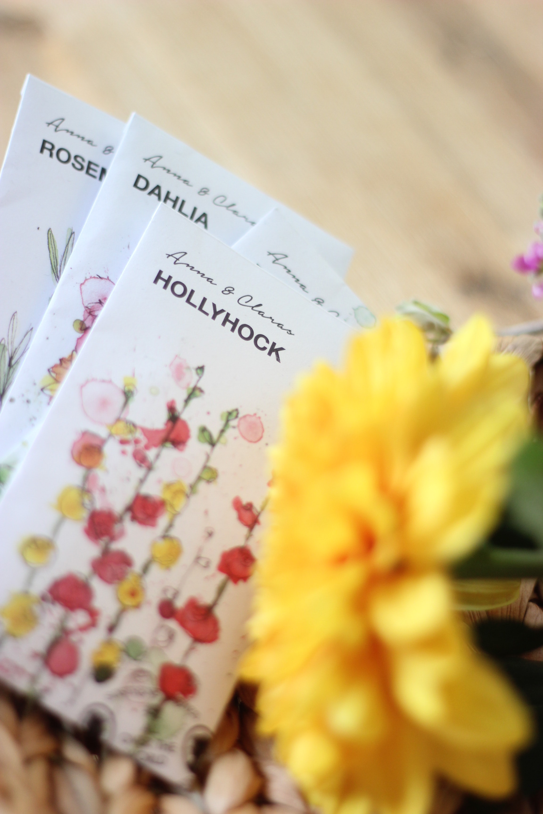 Seed Packets and a flower.
