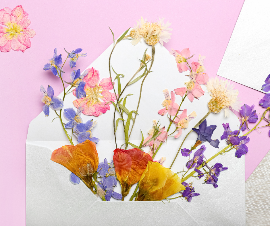 An envelope filled with pressed flowers on a pink background.
