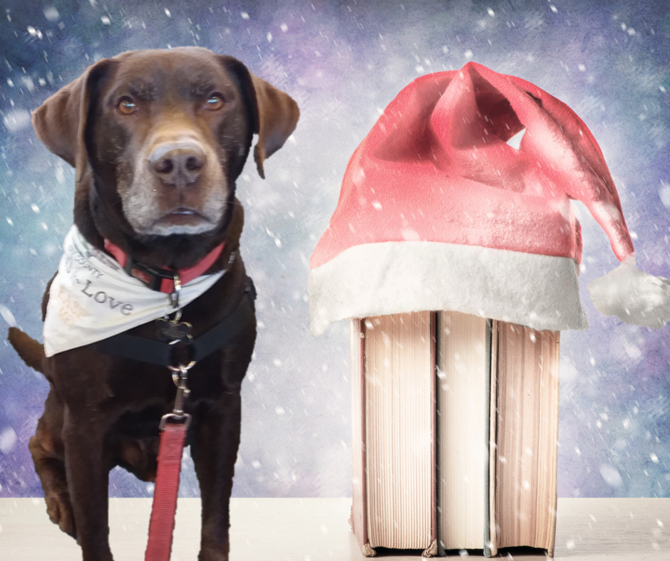 Photo of Bear the dog superimposed over a background that has 3 books with a Santa hat and snow.