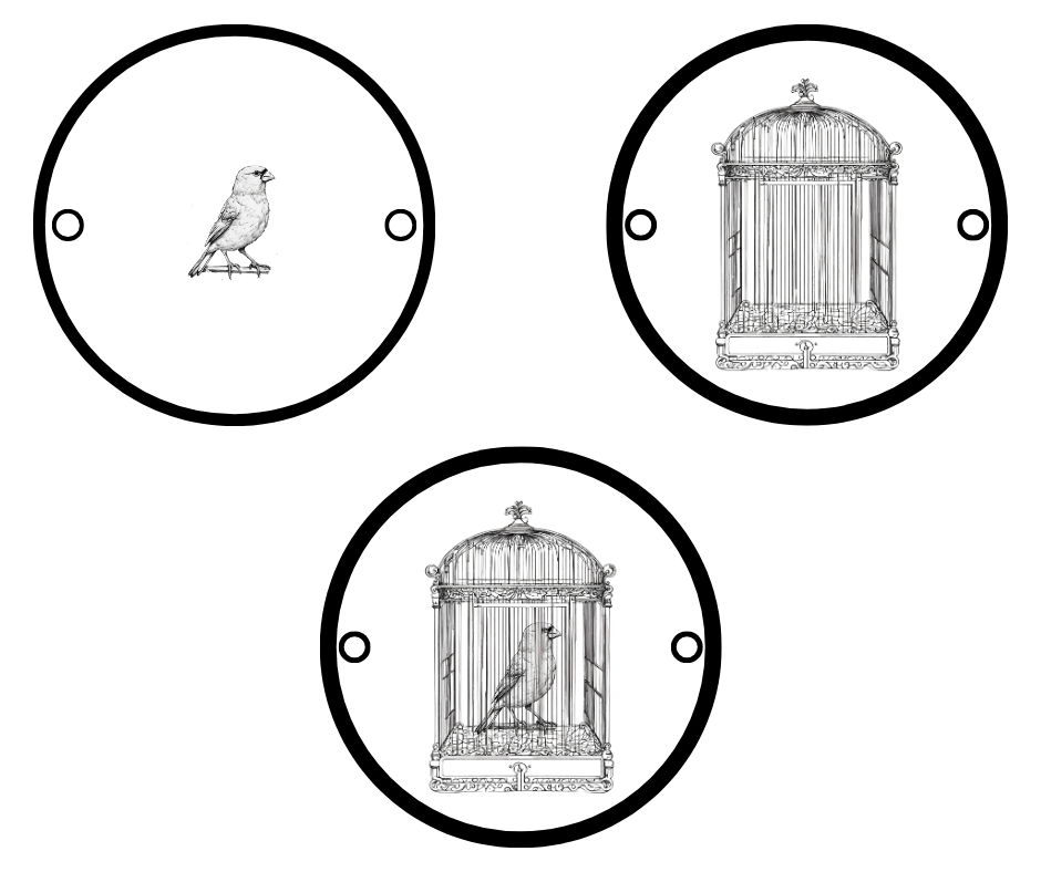 AI generated images of a  bird and a birdcage used to illustrate the idea of a thaumatrope