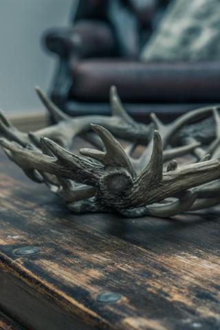 Brown Antlers on a wooden table.