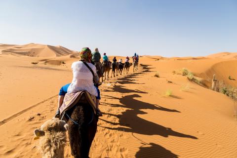 Camel ride through the Sahara Desert