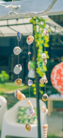 Seashell wind chime