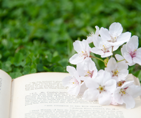 White flowers laying on a book with greenery behind them.