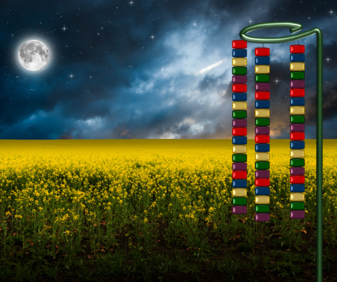 Garden stake illustration over top of a photo of a moonlit field of yellow flowers. 
