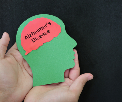 Pair of hands holding a green paper cutout of a human head with a pink brain on top that says Alzheimer's Disease.