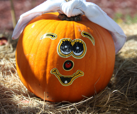 Pumpkin with a sticker face.