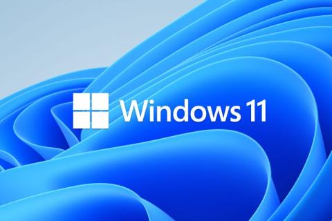 Window 11 logo