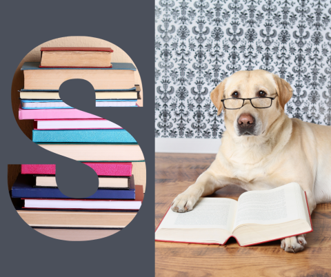Split image - left side has a letter S with books inside and the right side has a yellow lab wearing glasses holding a book in his paws.