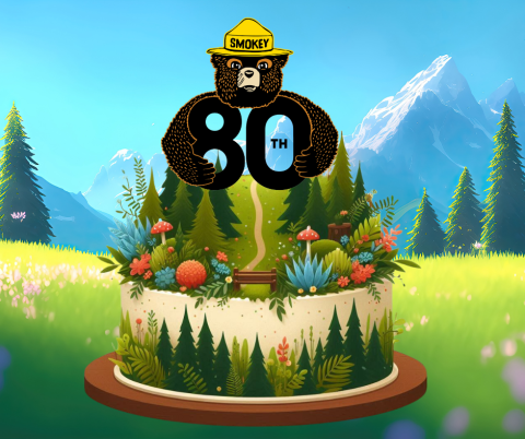 Smokey Bear 80th Birthday Icon superimposed on an AI Forest Themed Cake superimposed on a graphic of mountains and trees and fields.