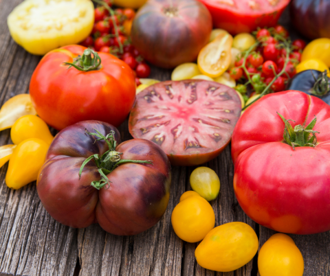 Photo of a wide variety of heirloom tomatoes, some whole and some sliced, laid out on a wood table surface.