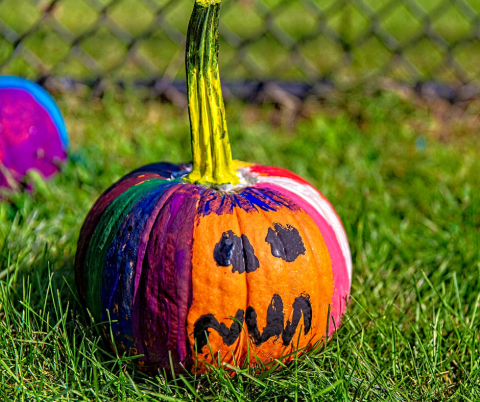 Painted pumpkin in a field.