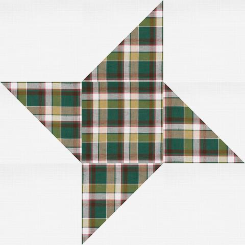 Friendship Star plaid pattern