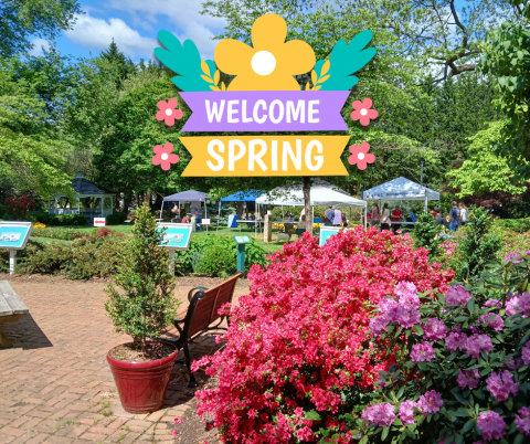 Photo from last year's Welcome Spring Event with Welcome Spring graphic overlaid at the top.