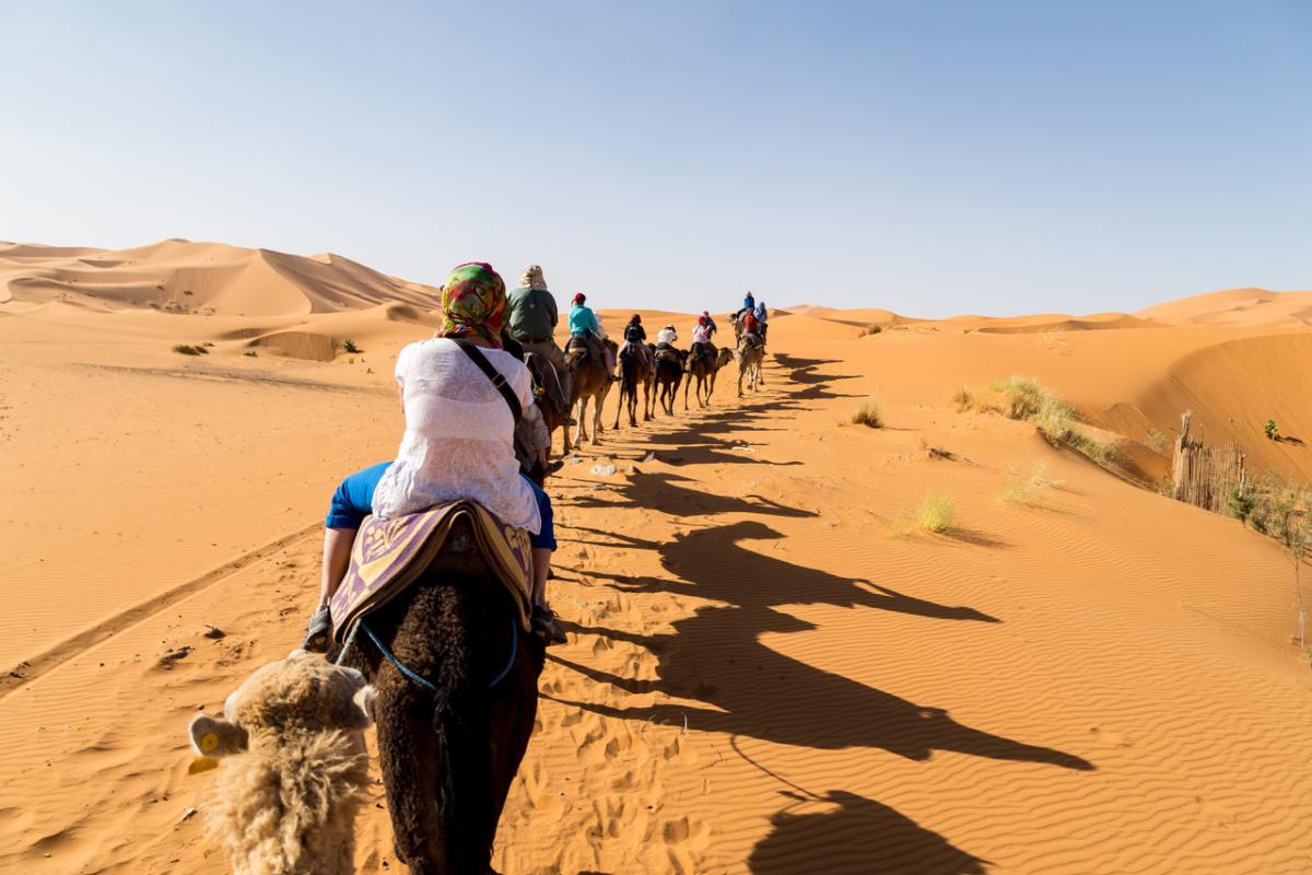 Camel ride through the Sahara Desert