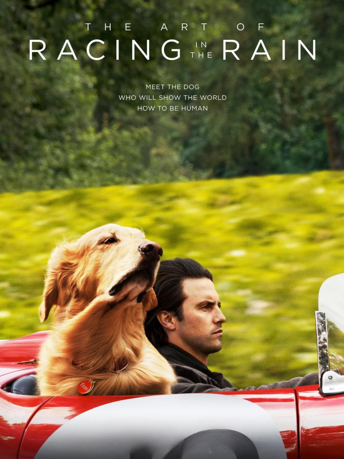 The Art of Racing In the Rain Movie Poster